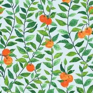 Meet your Posher, Alison